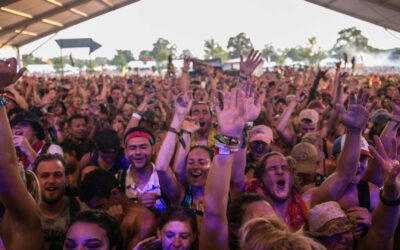 La musique électronique : de la techno au EDM